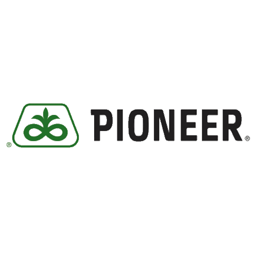 Pioneer