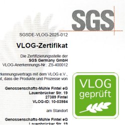 VLOG